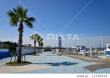 関空マリーナ 12194639
