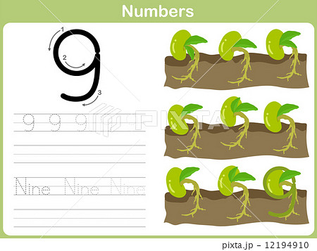 Number Tracing Worksheet: Writing 0-9 Number Tracing Worksheet: Writing 0-9 12194910