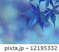 もみじのイメージ　ブルー編 12195332