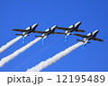 ブルーインパルス 12195489