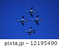 ブルーインパルス 12195490