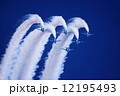 ブルーインパルス 12195493