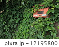 蔦郵便受け 12195800