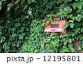 蔦郵便受け2 12195801