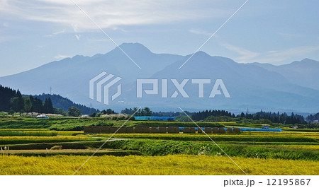 妙高山と棚田の秋 12195867