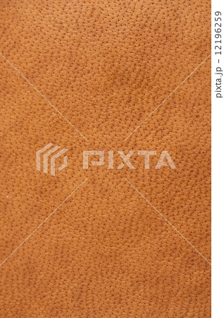 leather texture 12196259