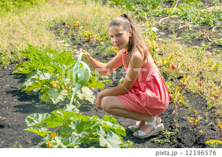 Cute girl watering plants in a garden 12196576