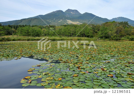 新潟県　妙高市　妙高高原　いもり池 12196581