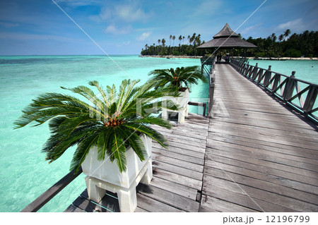 Tropical beach paradise resort 12196799