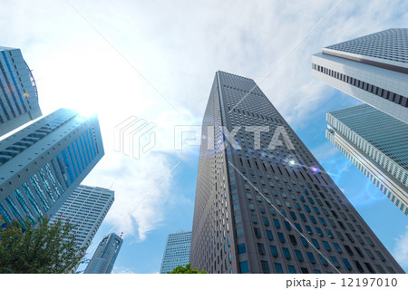 東京　新宿 12197010