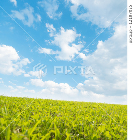 広々した丘 12197025