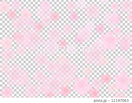 桜　花　春　四月　植物　桃色　花びら　かわいい　満開　白バック　ソメイヨシノ　和　模様　和柄　テクスチャー　水彩　花模様　 12197063