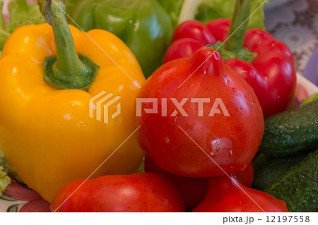 Vegetables on the table 12197558