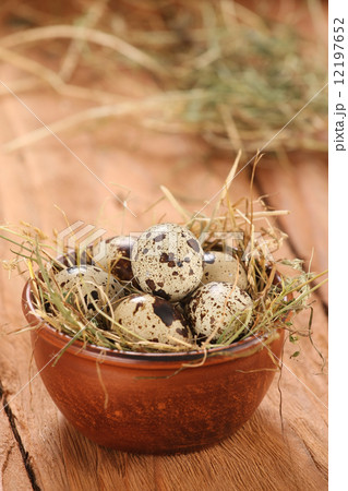 quail eggs in a clay bowl with hay 12197652