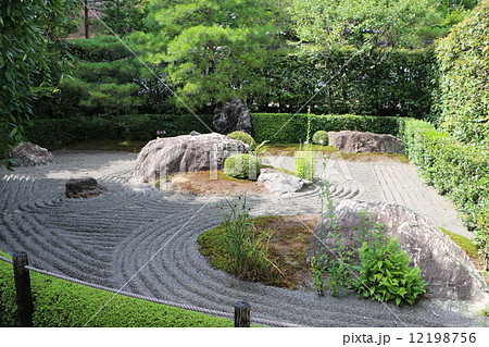 京都　妙心寺　退蔵院１ 12198756