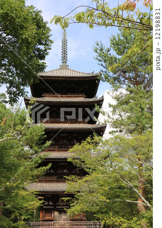 京都　御室　仁和寺７ 12198831