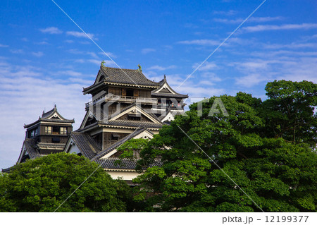 熊本城天守閣と宇土櫓 熊本城天守閣と宇土櫓 12199377