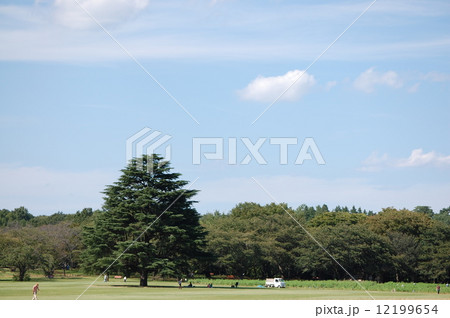 秋の空ともみの木 12199654