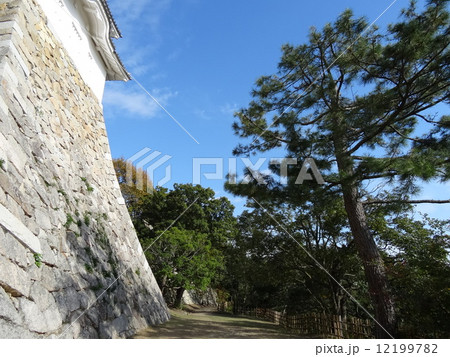 明石城　城壁 12199782