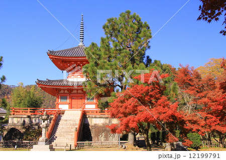 大覚寺（京都）紅葉の庭園から心経宝塔を見る 12199791