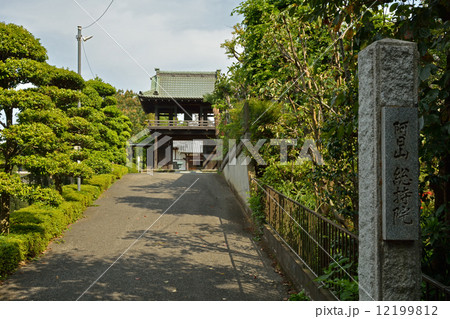 見沼田圃・総持院　鐘楼造りの山門 12199812