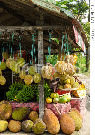 バリのフルーツショップ バリのフルーツショップ 12199913