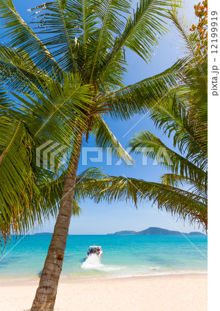 Boat in Phuket Thailand 12199919
