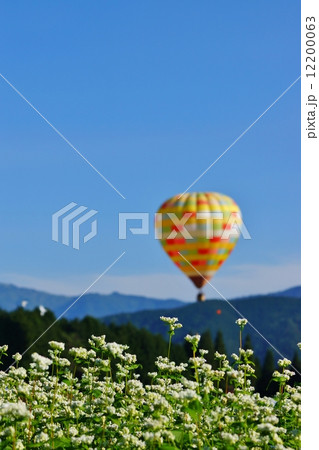 そばの花と気球 そばの花と気球 12200063