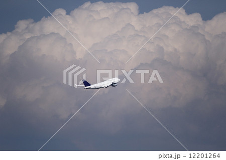 大空へ・・・ 大空へ・・・ 12201264