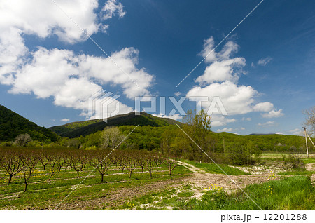 Unpaved Road Unpaved Road 12201288