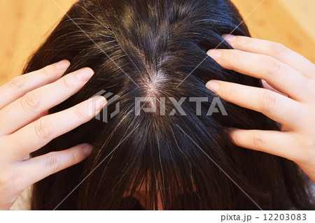 40代女性の髪の毛 40代女性の髪の毛 12203083