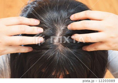 40代女性の髪の毛 12203089