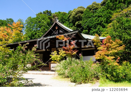 忍辱山　円成寺(阿弥陀堂) 12203694