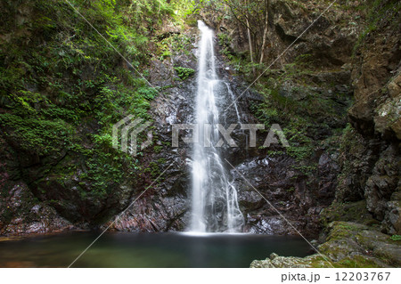 払沢の滝 12203767