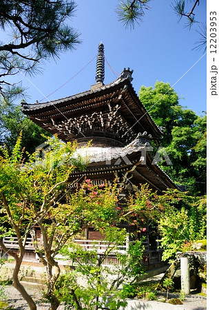 菩提山　穴太寺(多宝塔) 12203953