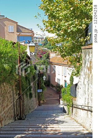 カンヌの裏道 カンヌの裏道 12204258