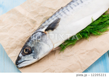 Fresh mackerel stuffed with dill 12205221