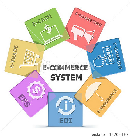 Vector E-Commerce System 12205430