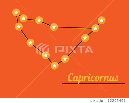 constellation capricornus 12205491
