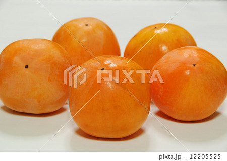 柿:長野県北アルプス山麓産 柿:長野県北アルプス山麓産 12205525