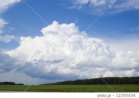 Cloudscape over forest Cloudscape over forest 12205836
