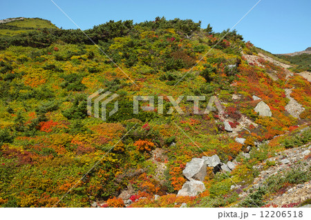 一切経山の紅葉 12206518