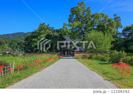 秋の戒壇院 秋の戒壇院 12206592