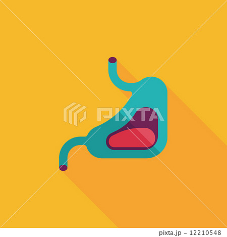 Human stomach flat icon with long shadow 12210548