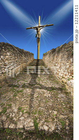 Crucifixion - The Jesus on the Cross 12211411