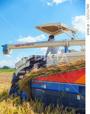 稲刈り（青空と黄金色の稲穂とコンバイン）２ 12211760