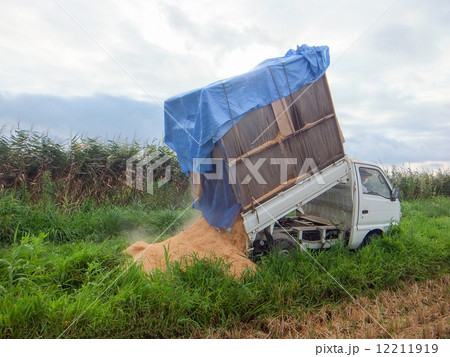 稲刈り(籾殻の廃棄)ダンプ2 稲刈り(籾殻の廃棄)ダンプ2 12211919