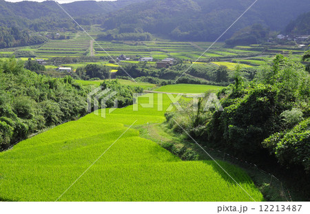 院内の棚田 院内の棚田 12213487