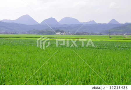 宇佐市の田園 12213488