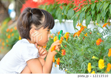 虫めがねで花を観察する女の子 12213510